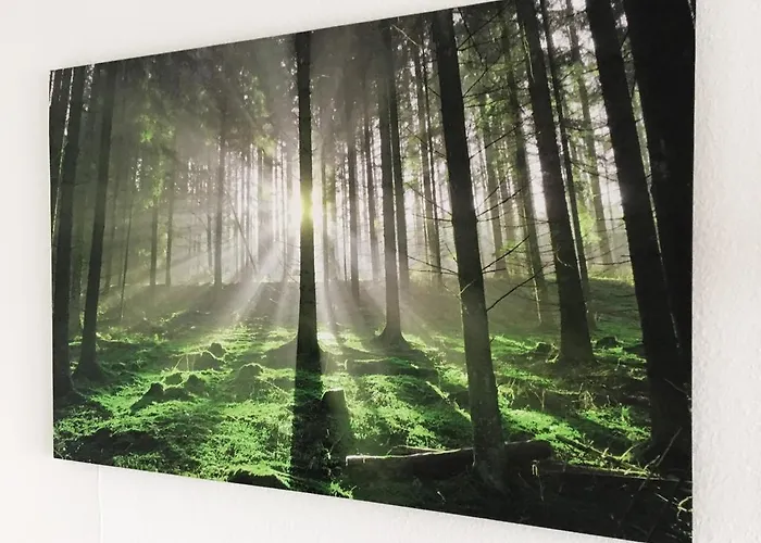 Treetown * Regensburg